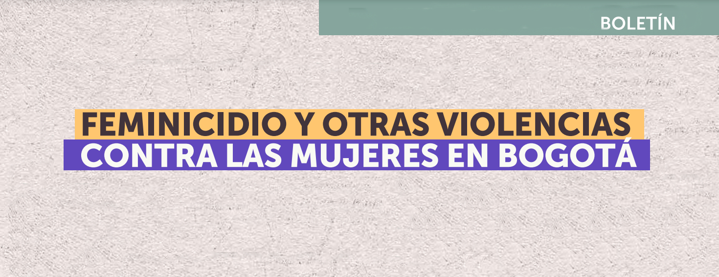 Feminicidios y otras violencias contra las mujeres