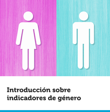 Introducción sobre indicadores de género 1